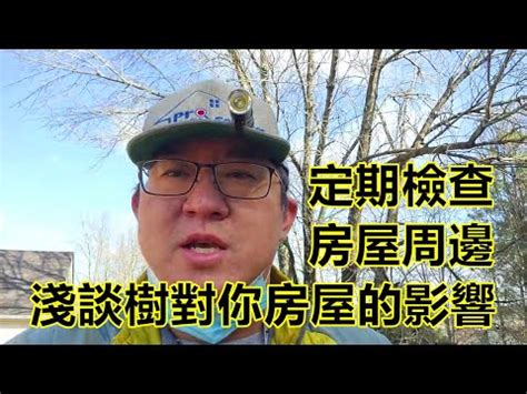 房子旁邊有樹|屋後樹木影響健康？專家解答